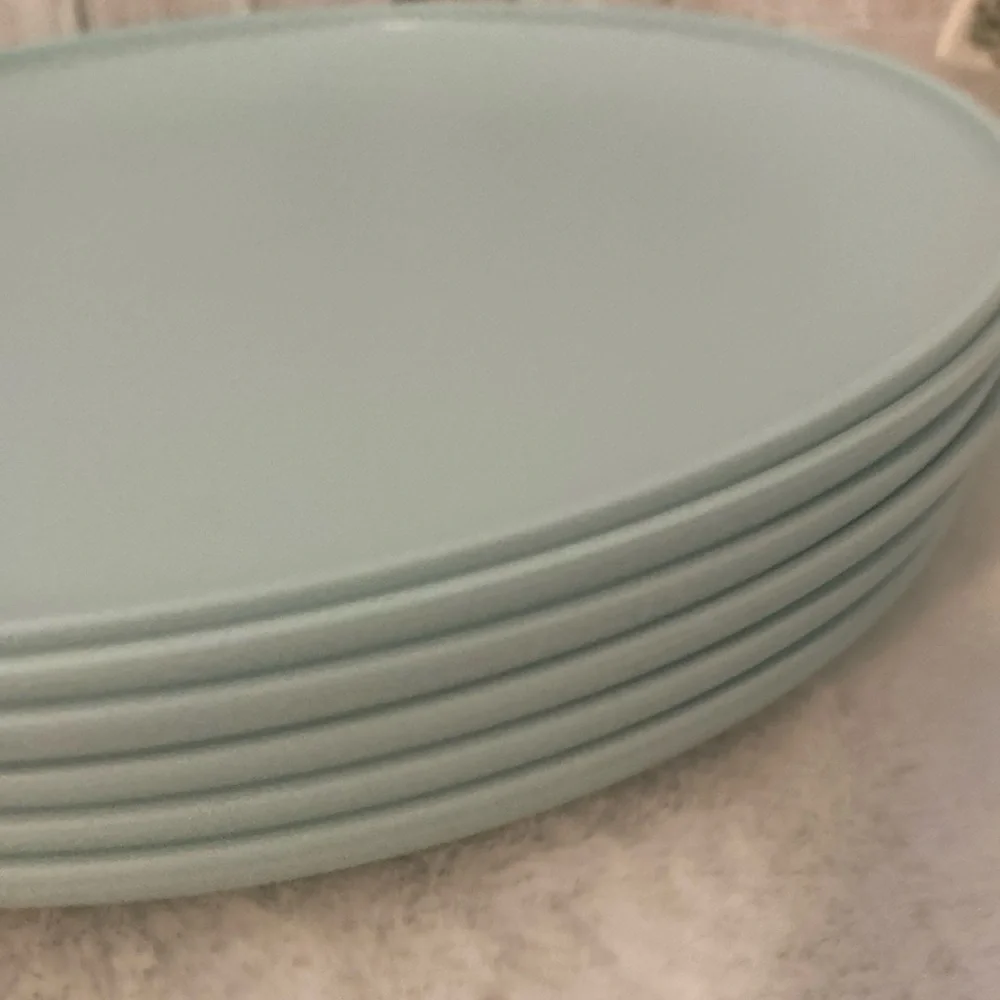 Target 2020 Plastic Dinner Plates in Light Blue
